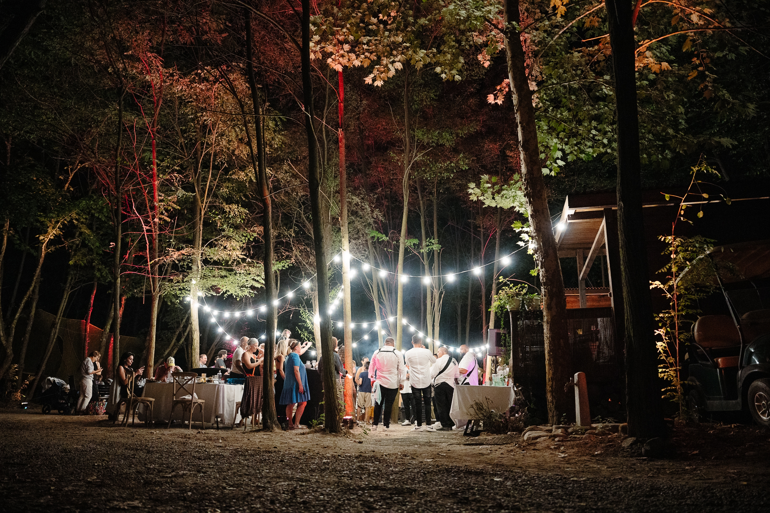 People celebrating in the wood under lights 